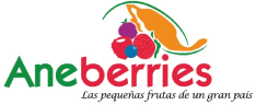 aneberries